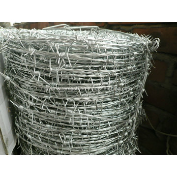 Electro and Hot Dipped Hot Dipped Barbe Wire (specialized manufacturer)